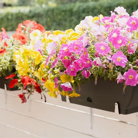 Gæstehus Residenza Nonno Mella Porto SantʼElpidio