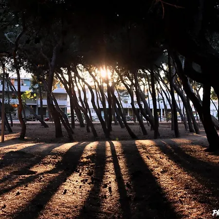 Residenza Nonno Mella 4* Porto SantʼElpidio