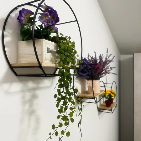 Residenza Nonno Mella 4* Porto SantʼElpidio