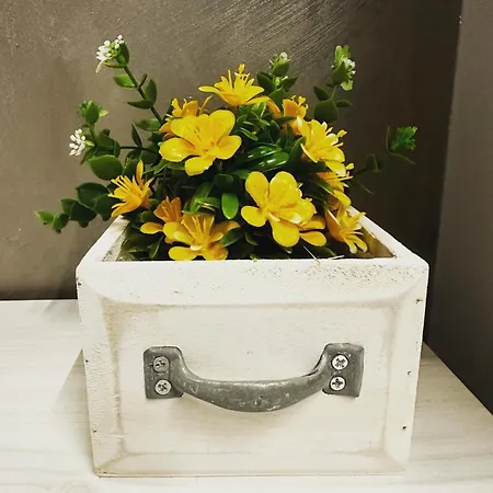 Residenza Nonno Mella 招待所 Porto SantʼElpidio