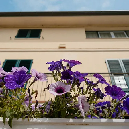 招待所 Residenza Nonno Mella Porto SantʼElpidio